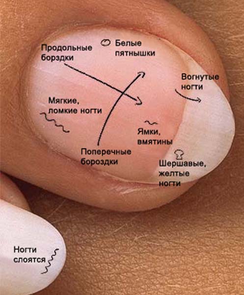 Студия ногтевого сервиса Любови Шкуриной LS Nails-center